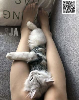 免费在线观看日韩av电影_1080电影在线观看