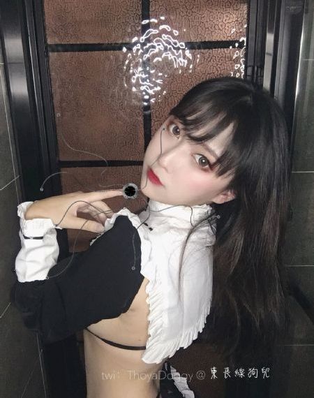 野花高清视频免费观看完整版_DVD影视在线观看
