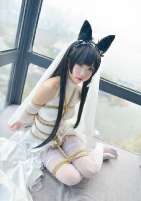 欧美一级va在线观看_HD在线观看电视